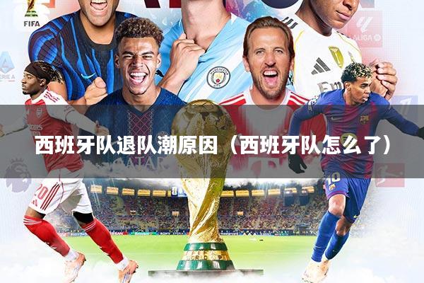 西班牙队退队潮原因（西班牙队怎么了）