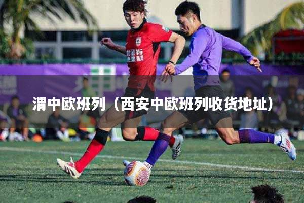 渭中欧班列（西安中欧班列收货地址）