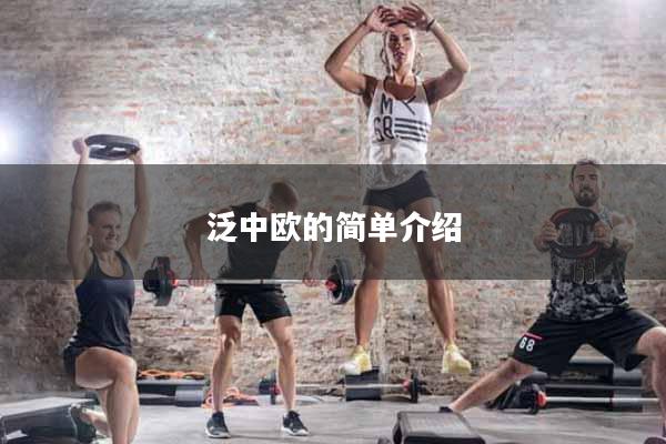 泛中欧的简单介绍