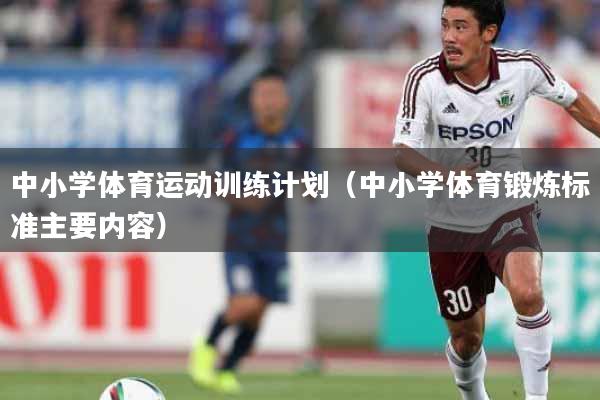 中小学体育运动训练计划（中小学体育锻炼标准主要内容）
