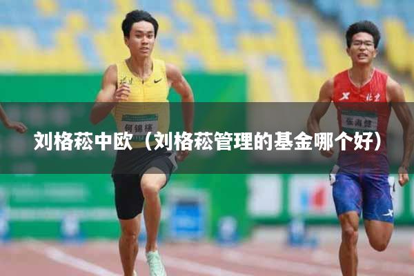 刘格菘中欧（刘格菘管理的基金哪个好）