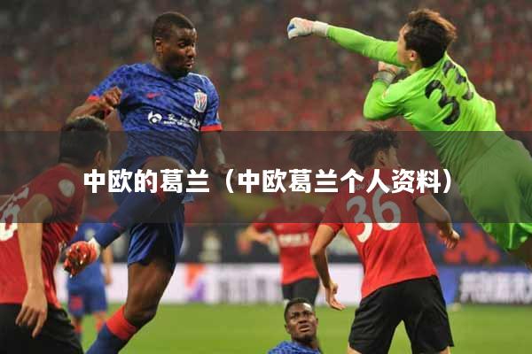中欧的葛兰（中欧葛兰个人资料）